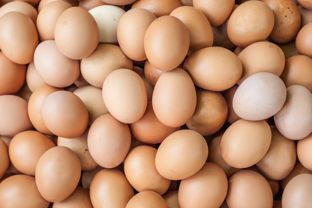 Worldwide Egg Price turns into World Egg Organisation